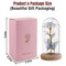 Eternal Preserved LED Rose with Butterfly in Glass Dome Décor